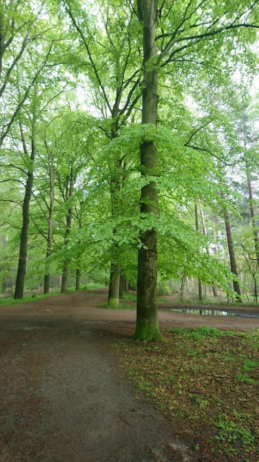 Overbosch Bilthoven Eksteriør billede